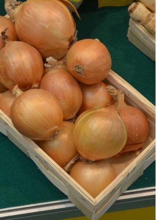 Cebolla - Majka - 500 semillas - Allium cepa L.