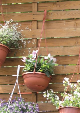Vaso da fiori sospeso "Stella" ø 22 cm - color terracotta - 