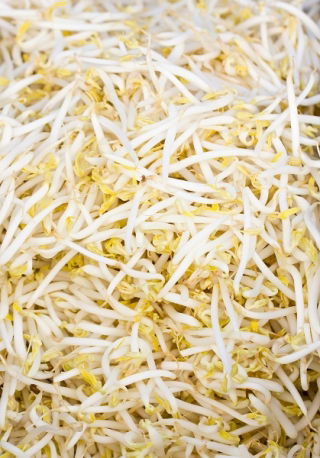 BIO Sprouting seeds - Mung bean - certified organic seeds