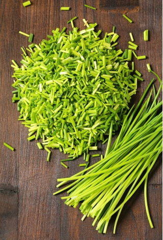 Chives - Pražská - Easy-Care Herb for Multiple Harvests - Fresh Seeds