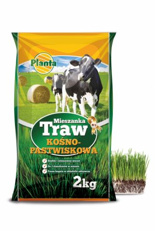 Széna fű kiválasztása Fabacecae M1-vel - 2 kg -  - magok