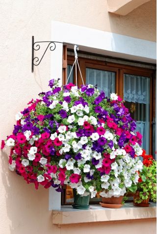 Hangende bloemenmand met kokosvezelmat - 40 cm - 