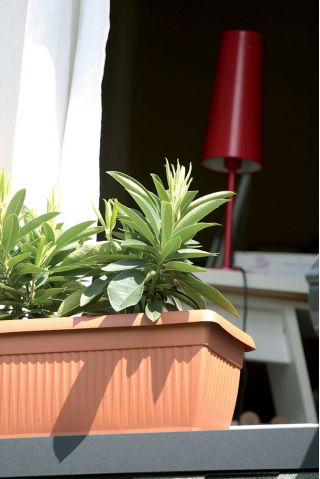 Pot bunga luar - Terra - 60 cm - Terracotta - 