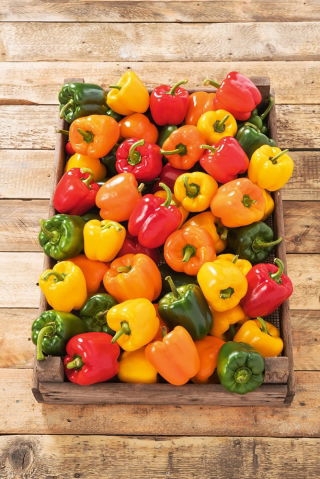 Paprika gemengde zaden - Capsicum annuum