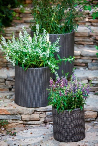 Small round plant pot - ø 28 cm - Cylinder Planter - anthracite-grey