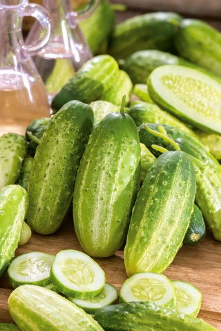 キュウリ 'マキシムス'  - 初期の、生産的な品種 - Cucumis sativus - Maksimus - シーズ