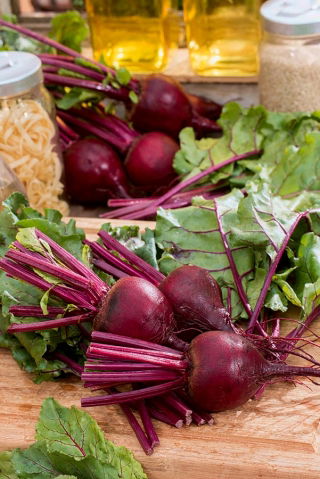 Kumbang merah "Bona" - Beta vulgaris - benih