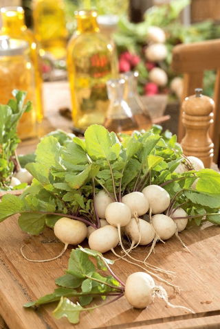 Radish "Aphrodite" - white, shiny, smooth skin - 425 seeds