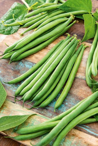 Kacang Perancis hijau Sandra - 