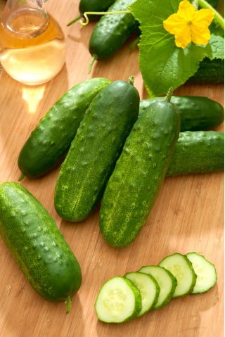 Pepino 'Orpheus F1' - variedad partenocárpica - 500 semillas - semillas profesionales para todos