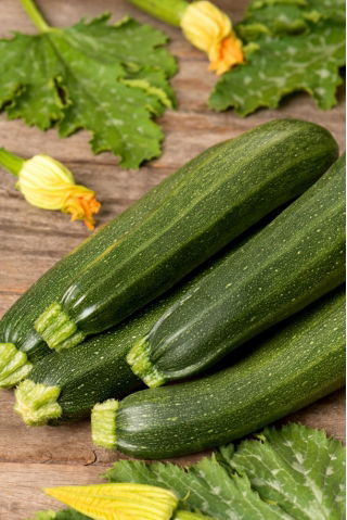 Zucchine 'Terminator F1' - 100 grammi - semi professionali per tutti; zucchine - 