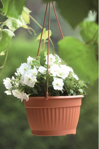 Chậu hoa treo - Terra - 26 cm - Đất nung - 