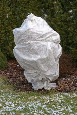 Weißes Wintervlies (Agrotextil) - schützt die Pflanzen vor Frost - 1,60 x 20,00 m - 