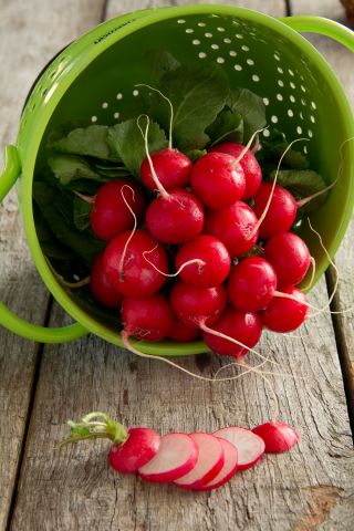 BIO - Radish "Saxa 2" - certified organic seeds - 425 seeds