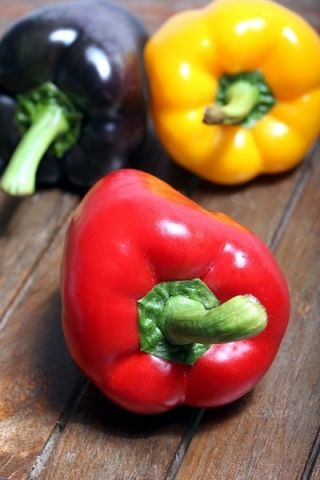 Paprika gemengde zaden - Capsicum annuum