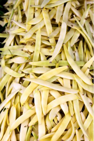 Fagiolo - Supernano Giallo - 25 semi - Phaseolus vulgaris L.