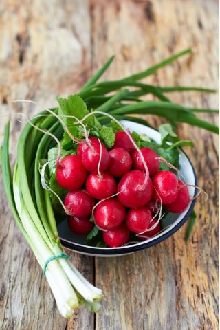 Radish "Rowa" - 425 de semințe - Raphanus sativus L.