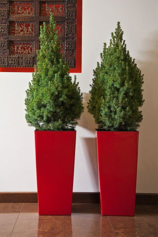 "Finezja" square tall planter with an insert - 14 cm - red