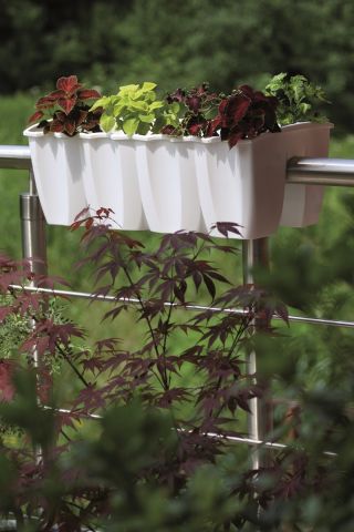 "Crown" railing-mounted balcony box - white - 58 cm