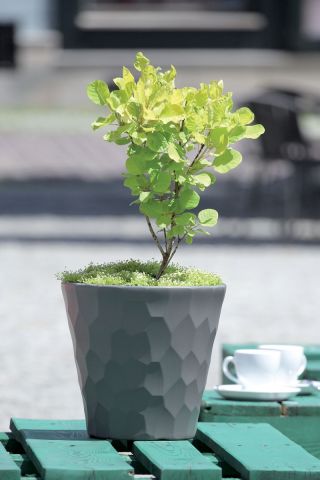 Round flower pot - Rocka - 17 cm - Graphite