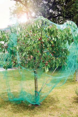 Vogelschutznetz 2 x 10 m - 