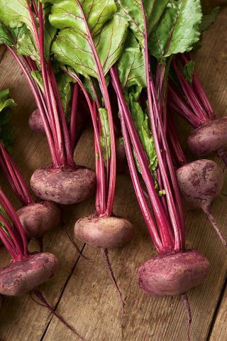 Beetroot "Egyptian" - 100 g of seeds - 5000 seeds