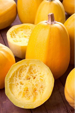 Spagetikõrvits - Pyza - 14 seemned - Cucurbita maxima