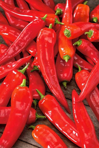 Hot Pepper Rokita seeds - Capsicum annuum - 68 seeds