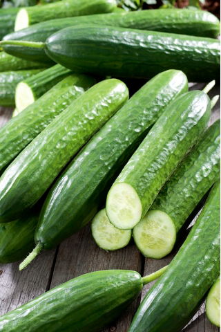 Pepino - Gracius Gładki F1 - 175 semillas - Cucumis sativus