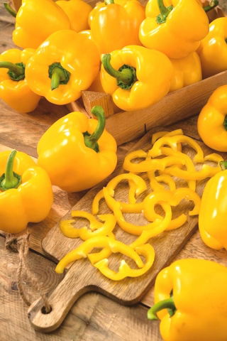 Pepper 'Marta Polka' - odrůda sladkého pole - 10 gramů -  Capsicum annuum - semena