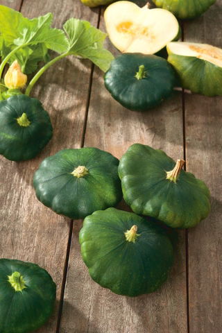 Patty Pan Squash Okra semillas - Cucurbita pepo - 75 semillas - Cucurbita pepo var. Patisoniana