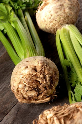 Celeriac, คื่นฉ่ายราก "Zagloba" - หลากหลายสีขาวและมีกลิ่นหอม - 1800 เมล็ด - Apium graveolens