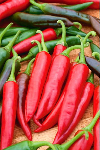 Bell pepper "Sora" - a sweet variety