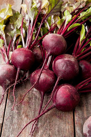 Củ cải đường "Astar" - lý tưởng cho nước ép và cô đặc - 500 hạt - Beta vulgaris