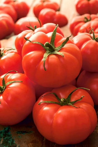 Pomodoro - Jutrosz -  Lycopersicon esculentum - Jutrosz - semi