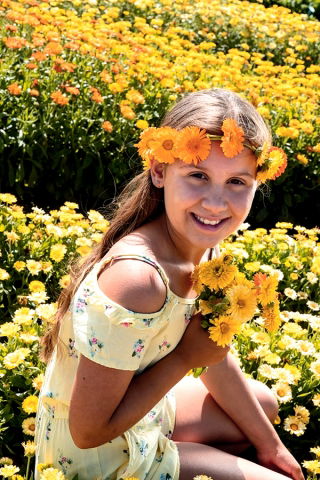 Happy Garden - "Whirling Marigold" - Seeds that children can grow! - 216 seeds