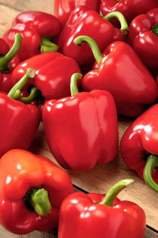 Lada "Paradise F1" - manis - Capsicum L. - benih