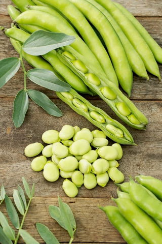 Babszem Rambos - 