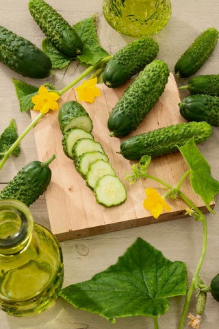 Pepino Amber F1: una variedad de invernadero - 