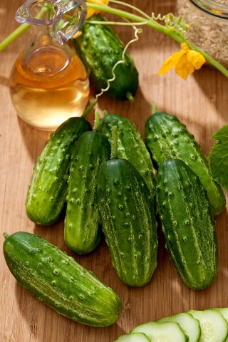 Cetriolo campestre Traper F1 - SEMI A NASTRO CON IDROGEL