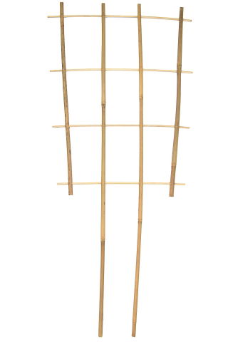 Bamboo plant support ladder S4 - 60 cm
