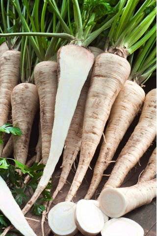 Perejil de raíz Kaska - una variedad medianamente temprana - 100 gramos - 