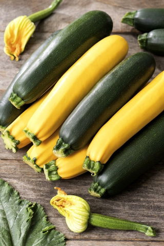 Zucchino - Miscuglio di varietà - 100 g - Diversi colori e sapori - Semi Freschi