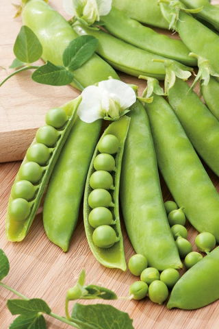Cukorborsó - Iłówiecki - 500 g - Könnyen termeszthető, tökéletes friss fogyasztáshoz - Friss vetőmagok