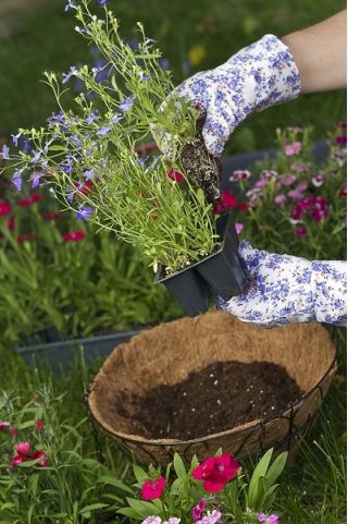 Hangende bloemenmand met kokosvezelmat - 40 cm - 