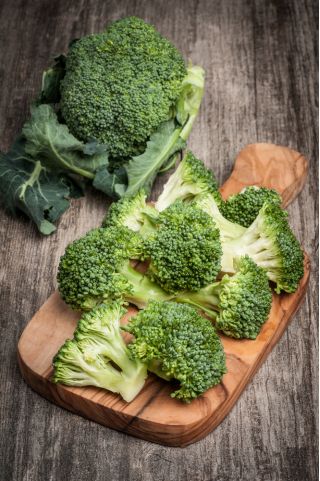 Broccoli - Wiarus - 300 semi - Brassica oleracea L. var. italica Plenck