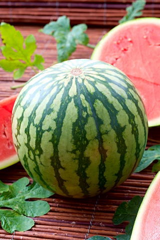Pepene verde &quot;Moro&quot; - 