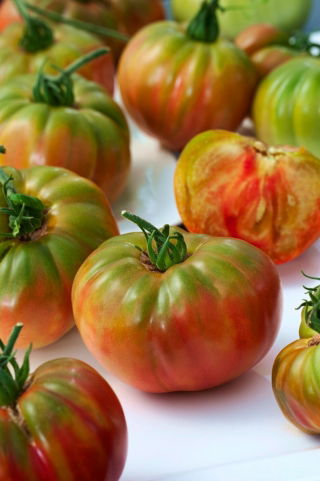 Pomodoro Pantano Romanesco BIO - per la coltivazione in campo e in serra, altissima resa - sementi certificate bio - 