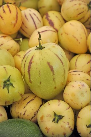 Semillas De Pepino Dulce (Solanum Muricatum) - 30 Unidades, Fácil Cultivo, Aamish