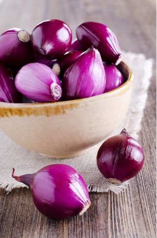 Лук репчатый - Wenta - 750 семена - Allium cepa L.